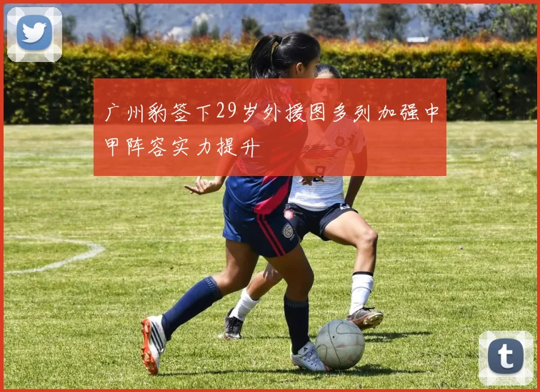广州豹签下29岁外援图多列加强中甲阵容实力提升